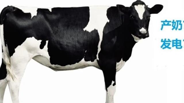 牛糞也能發(fā)電！全國最大單體生物質(zhì)RNG熱電項(xiàng)目投產(chǎn)