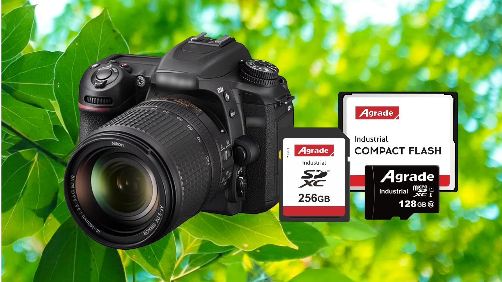 春天，單反會(huì)飛！