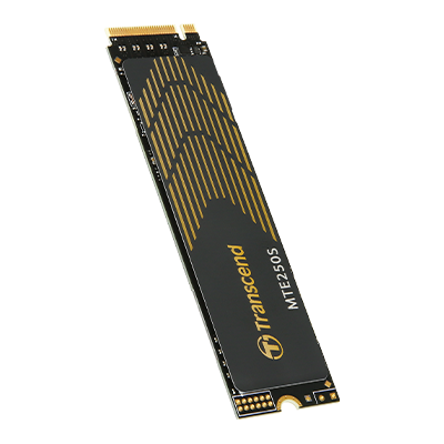 PCIe M.2固態硬盤 PCIe SSD 250S