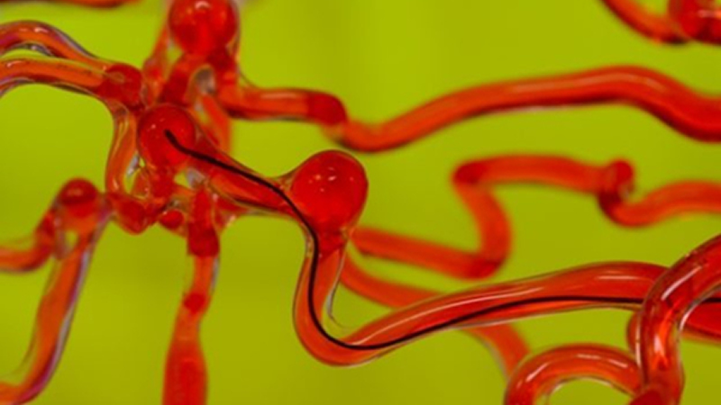 麻省理工開發(fā)磁控線性機器人